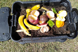 box-compost-colin-austin-gbiota