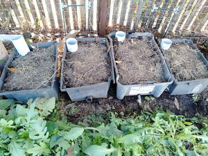 boxes-and-drains-colin-austin-gbiota