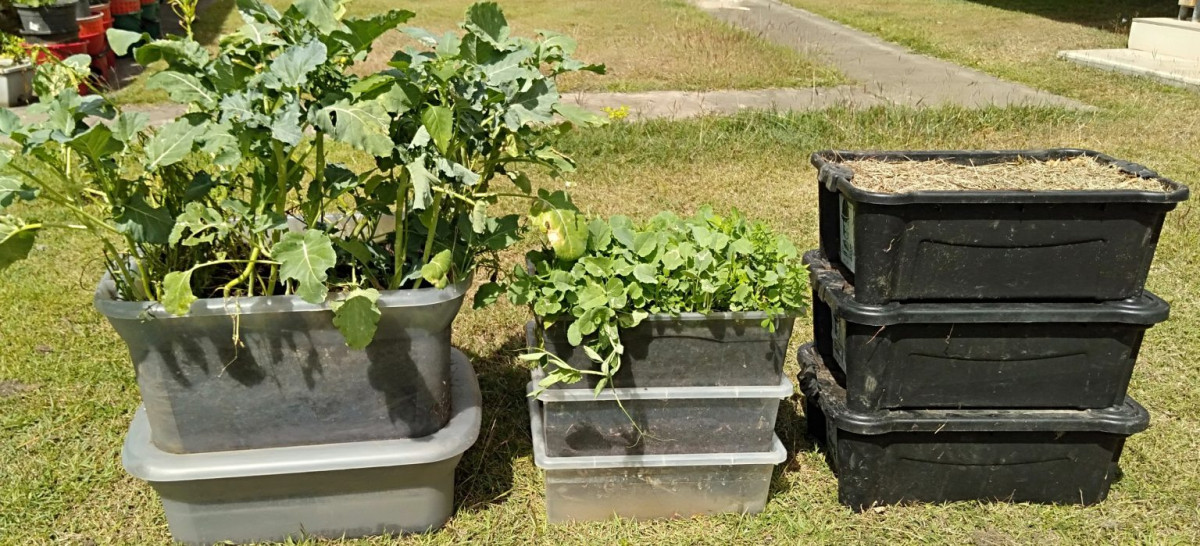 gbiota-pots-boxes-colin-austin-gbiota
