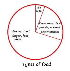 types-of-food-colin-austin-gbiota