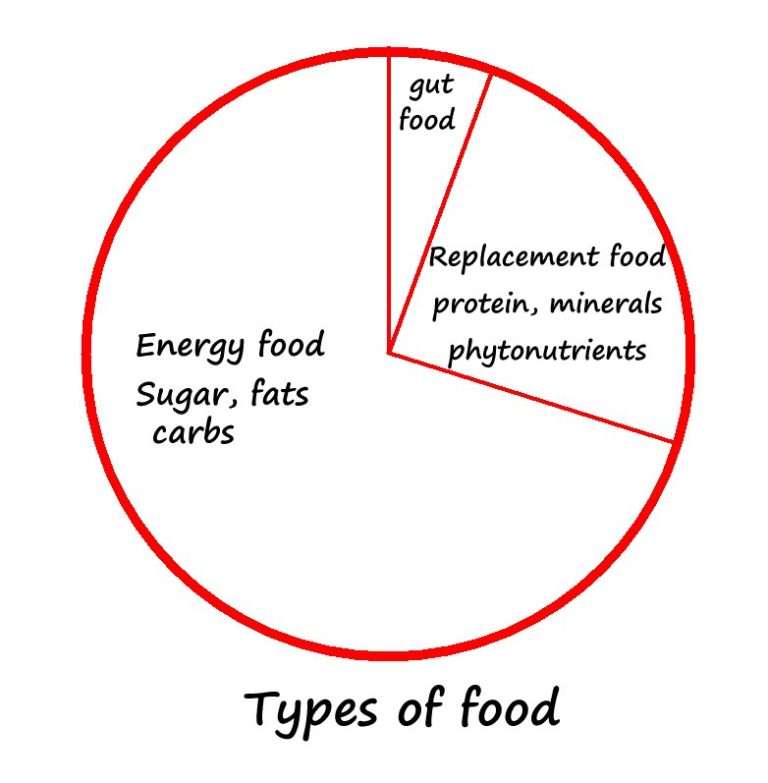types-of-food-colin-austin-gbiota