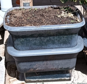 boxes-stacked-nesting-colin-austin-gbiota