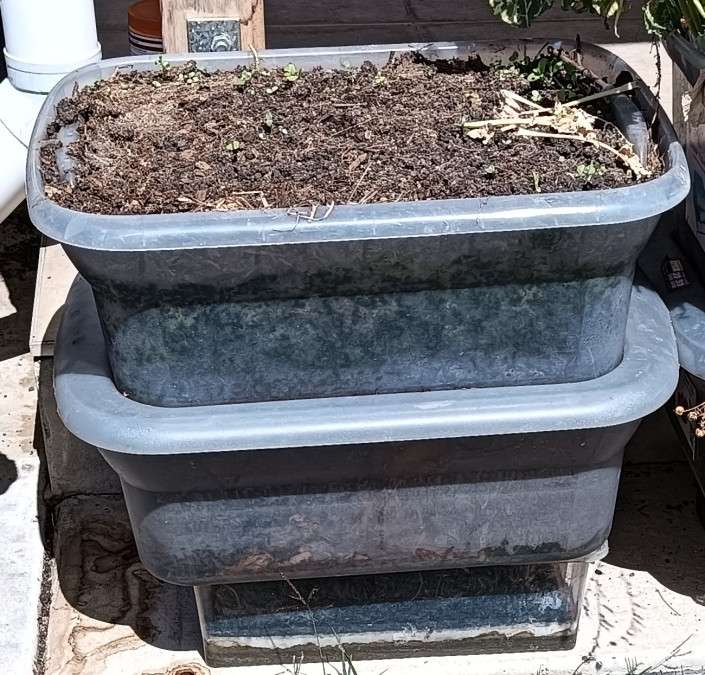 boxesnesting-colin-austin-gbiota