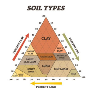 soil-types-colin-austin-gbiota
