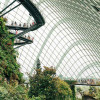 sustainable-green-future-colin-austin-gbiota