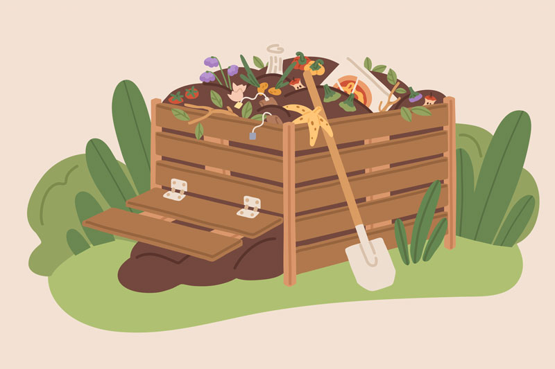 compost-illustration-colin-austin-gbiota