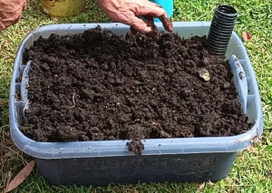 tribox-top-growing-layer-colin-austin-gbiota