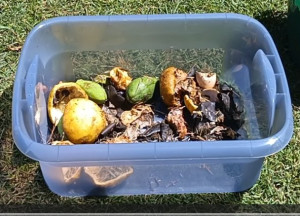 trixbox-waste-colin-austin-gbiota
