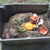 compost-waste-box-colin-austin-gbiota