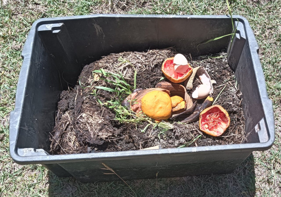 compost-waste-box-colin-austin-gbiota