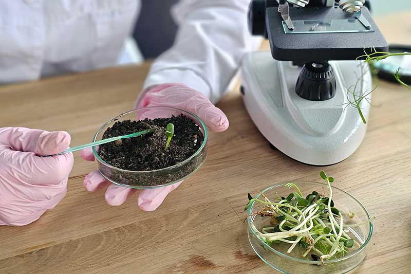 scientist-examining-sprout-colin-austin-gbiota