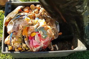 waste-food-colin-austin-gbiota