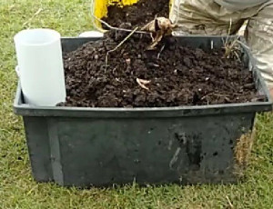 soil-in-wickimix-box-colin-austin-gbiota