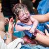 newborn-baby-colin-austin-gbiota