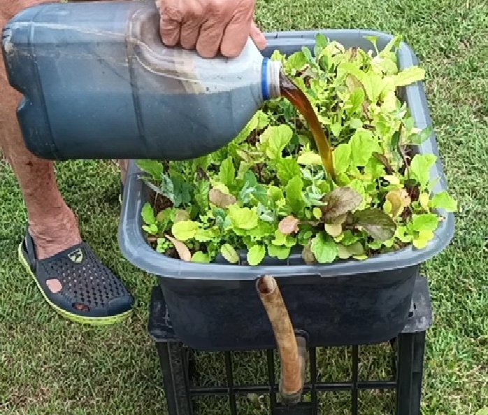 soil-blood-gbiota-bed-colin-austin-gbiota