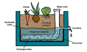 wicking-bed-diagram-colin-austin-gbiota