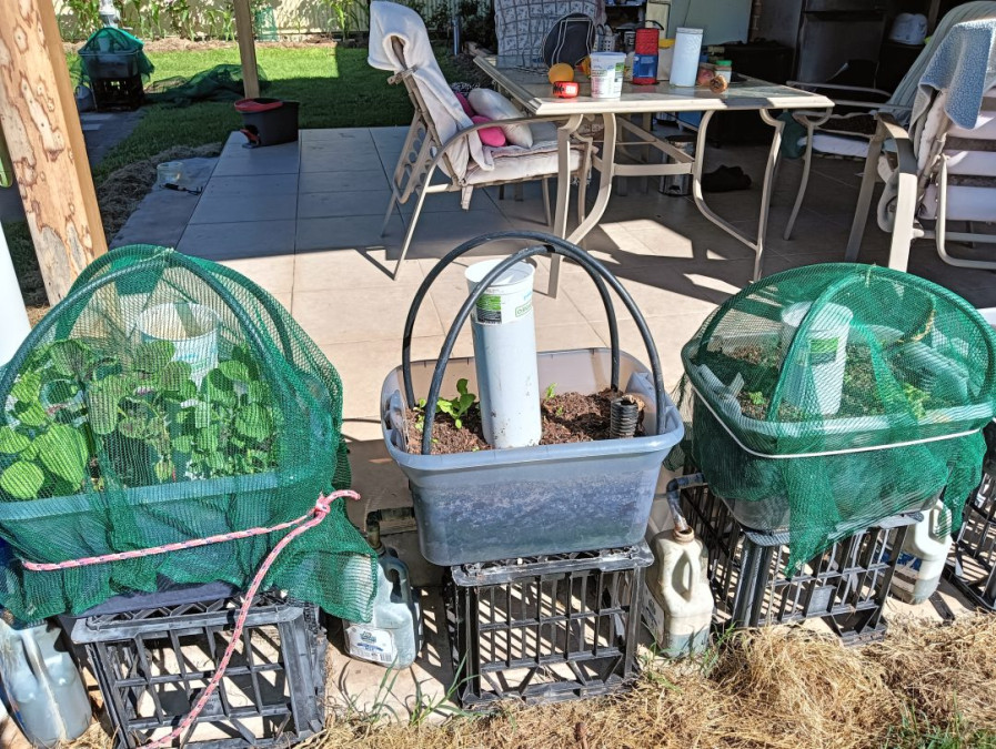 gbiota-boxes-construction-colin-austin-gbiota