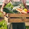 food-supply-garden-colin-austin-gbiota