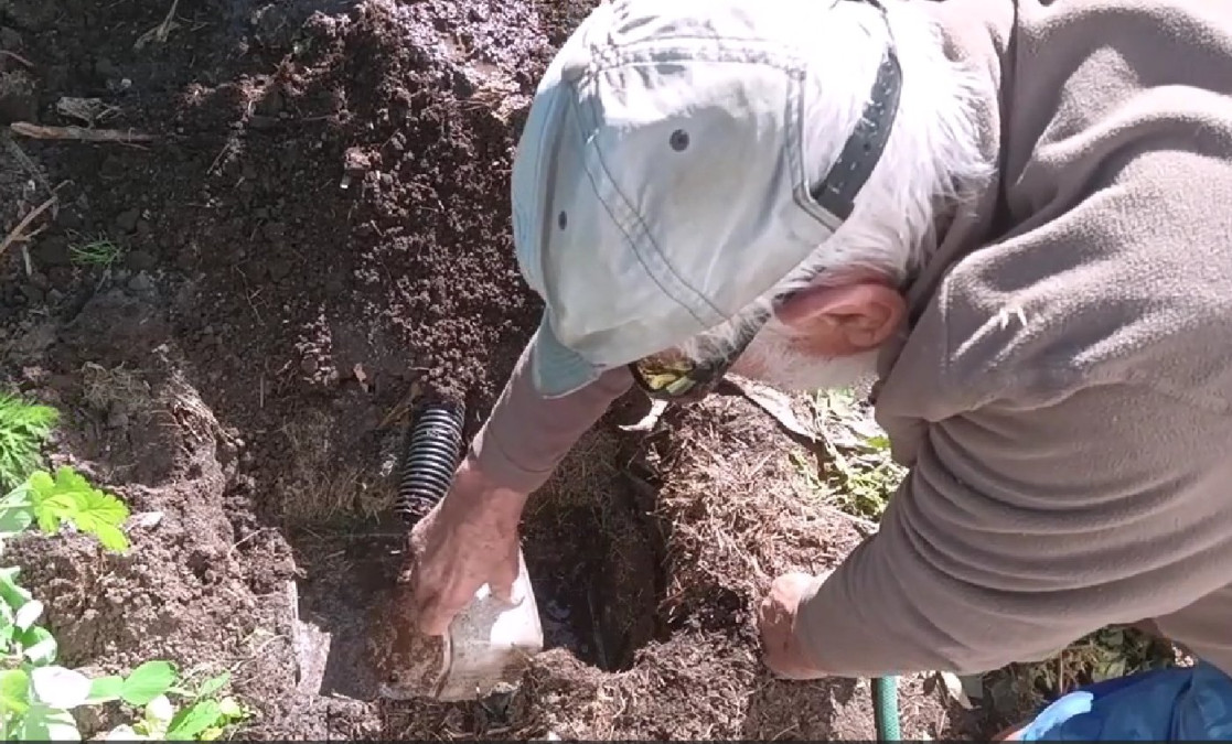 watering-wickimix-trench-colin-austin-gbiota