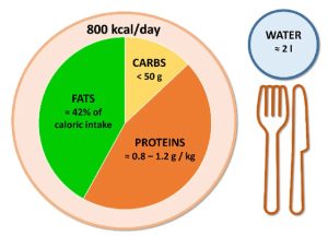 calorie restriction