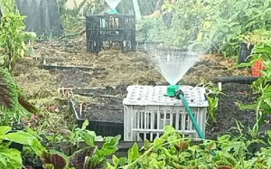 sprinkler