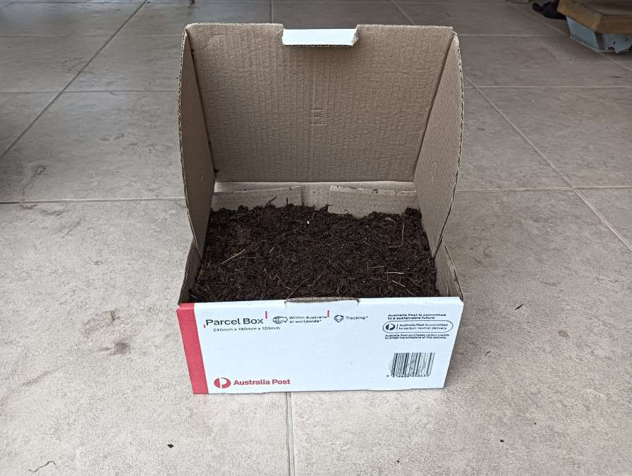 soil-in-box-colin-austin-gbiota