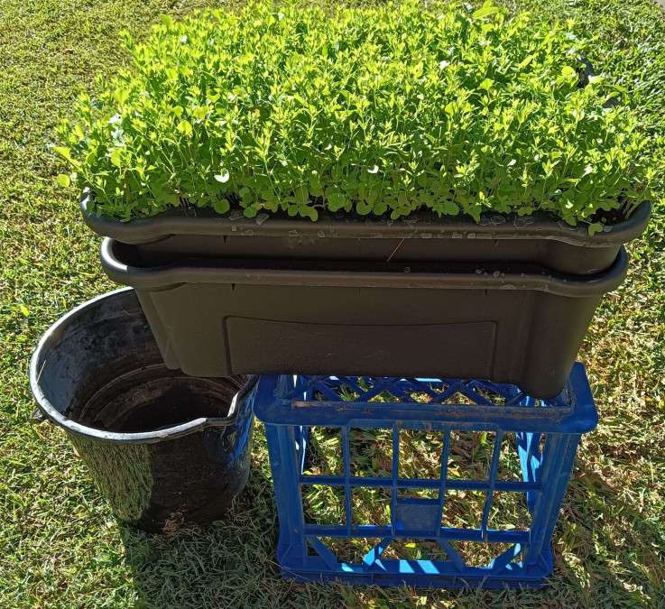 biobox23june25-scaled