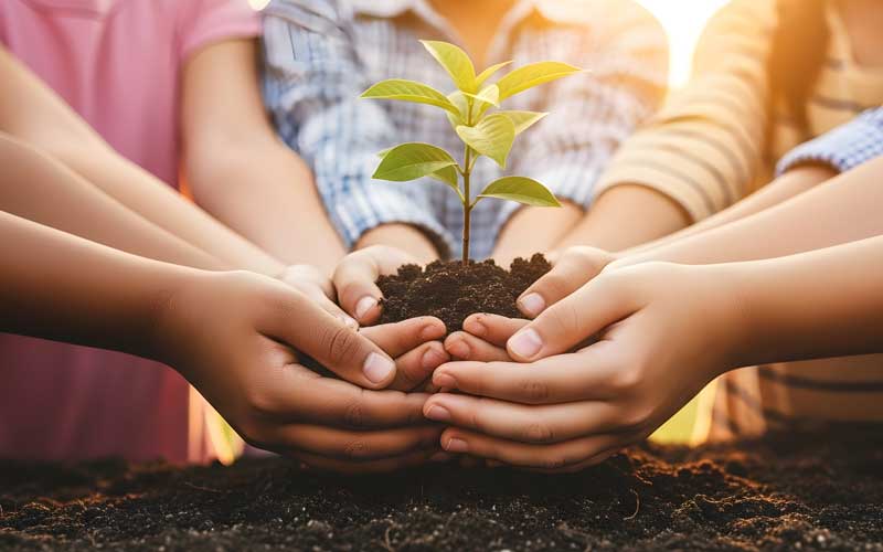 Hands holding a seedling - global social movement