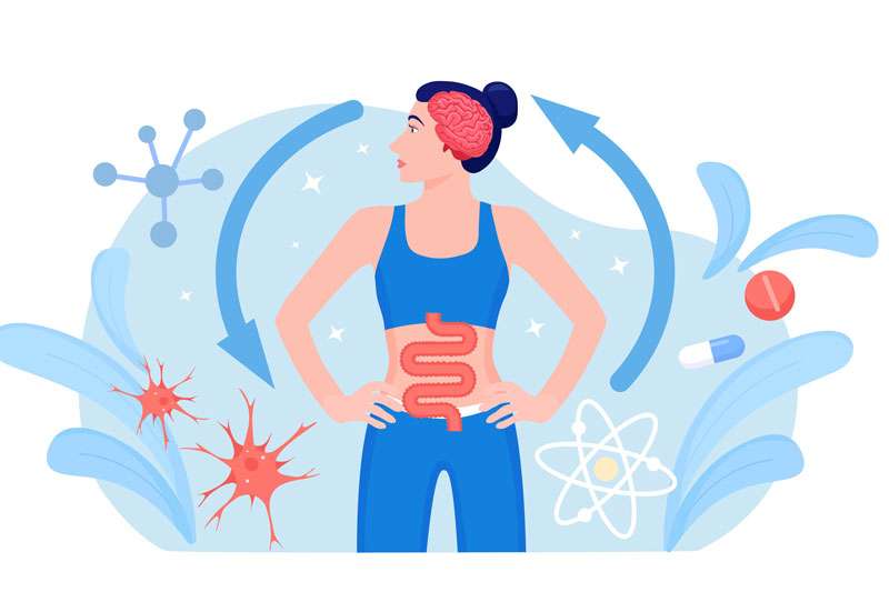 Gut and Brain Gbiota