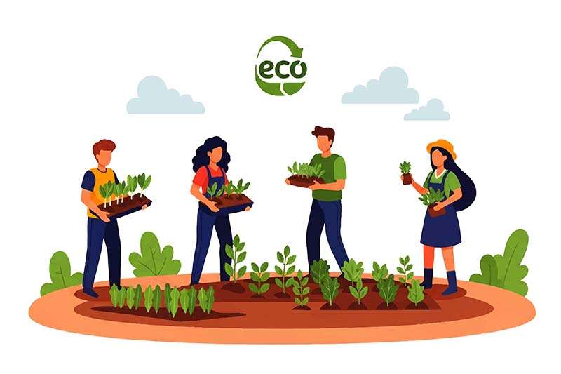 community-supported-agriculture-colin-austin-gbiota-1