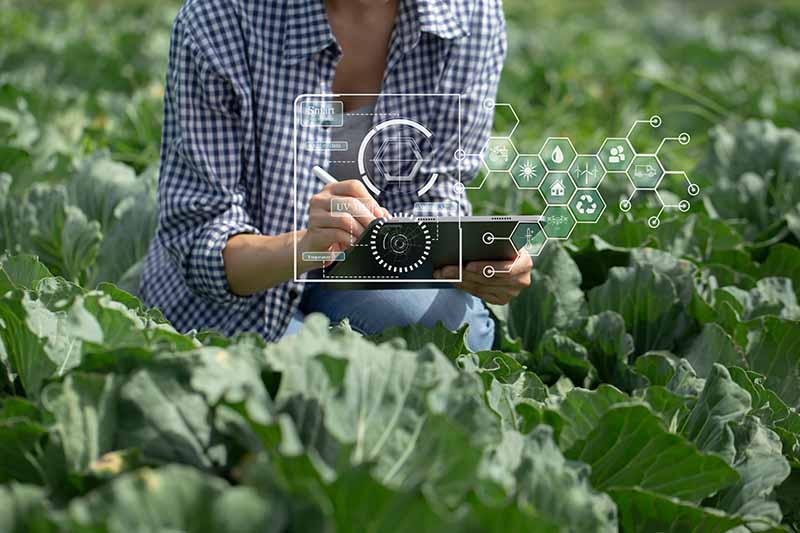 Food Innovation Technology | Colin Austin