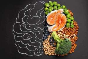 food-to-feed-brain