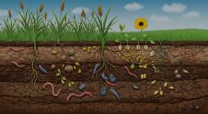 gbiota-hero-image-full-screen