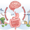 gut-brain-axis-gbiota-wicking-beds-colin-austin