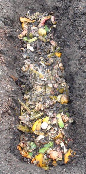 Food Waste | Compost | Trench | Gbiota