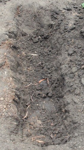 Trench | Gbiota | Colin Austin