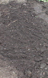 Sponge Bed | Soil | Wicking Beds | Gbiota | Colin Austin