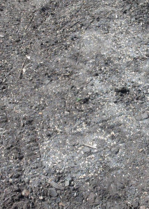 Wicking Soil Mix | Colin Austin | Gbiota