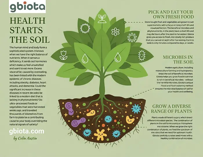 Plants & Microbes | Gbiota | Infographic