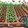 food-soil-web-gbiota-colin-austin