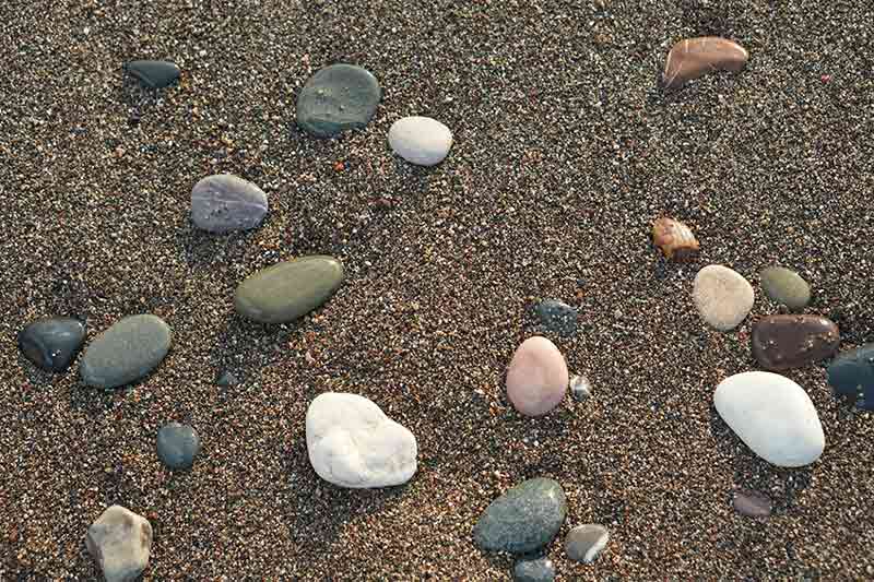 stones-soil-organic-matter-colin-austin-gbiota