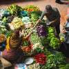vegetable-basket-community-market-stall-colin-austin-gbiota