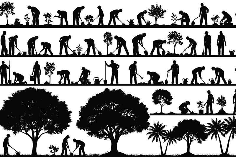 people-digging-and-gardening-black-and-white-illustration-colin-austin-gbiota