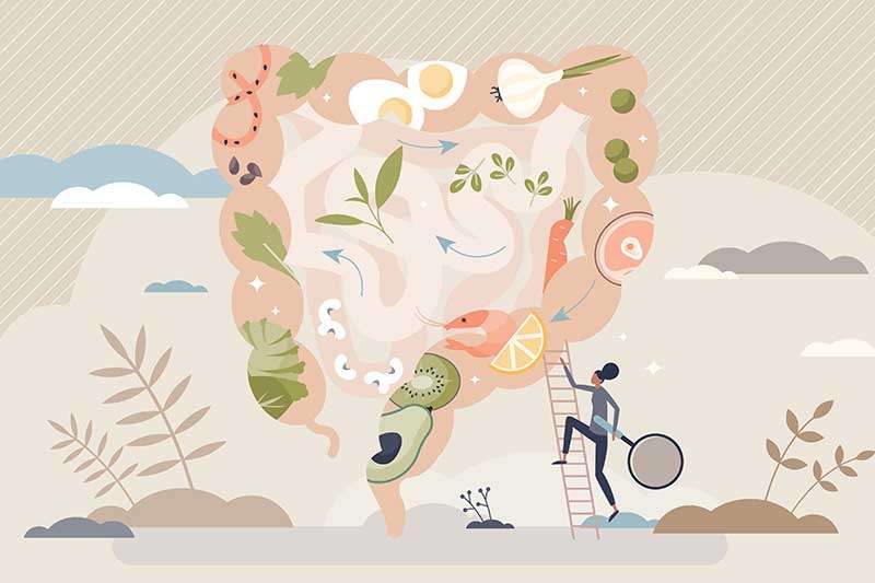 person-climbing-bowel-gut-health-illustration-colin-austin-gbiota