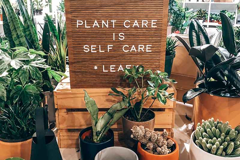 plant-care-is-self-care-sign-colin-austin-gbiota